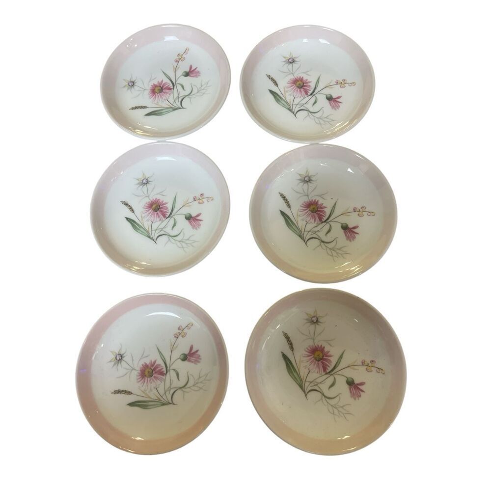 Vintage set of Maytime Flora plates Foley Bone China